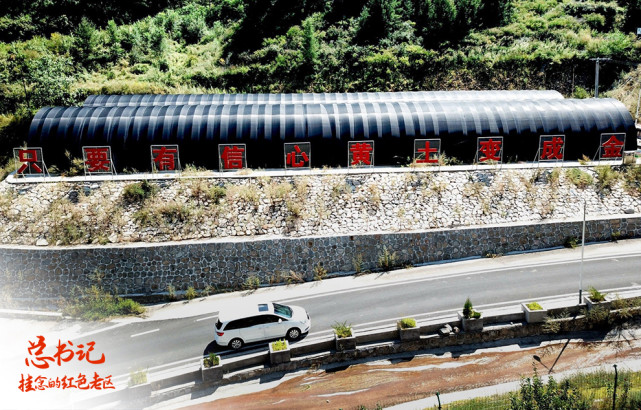 總書記掛念的紅色老區(qū)：對(duì)這里，總書記有“一個(gè)情結(jié)”